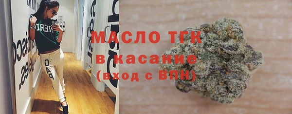 твердый Инта