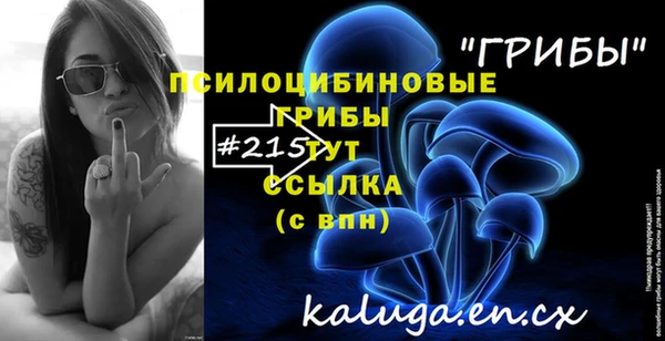 кокс Каменногорск