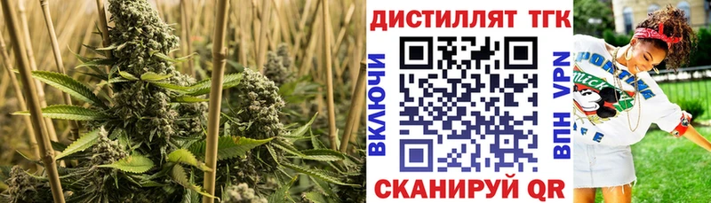 Купить закладки  Баксан  Дистиллят ТГК жижа 