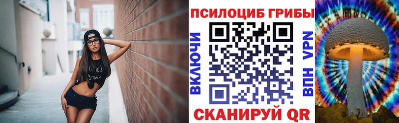Купить Баксан Галлюциногенные грибы MAGIC MUSHROOMS